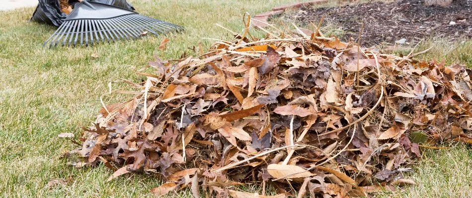 Debris and leaves on a lawn in Gallatin, TN.