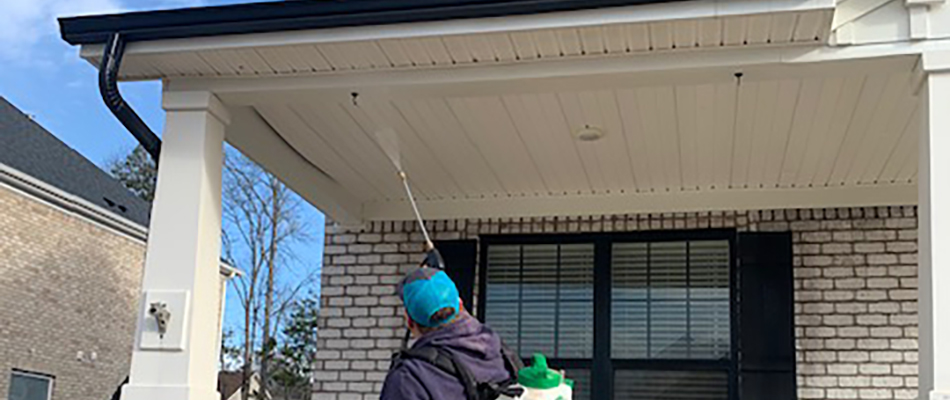 Professional applying pest control to a home base in Hendersonville, TN.