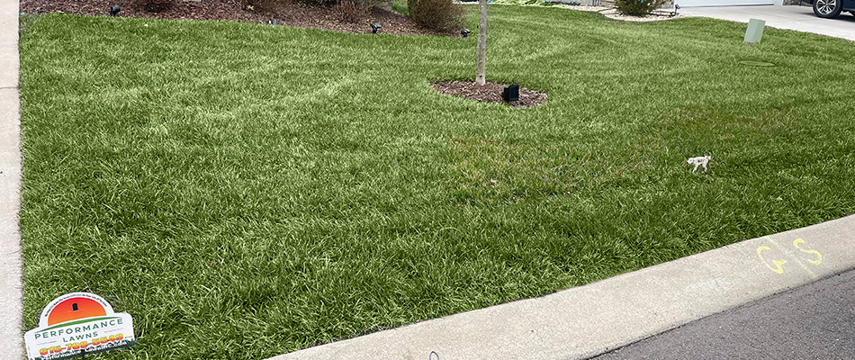 Serviced lawn by Performance Lawns Inc. in Hendersonville, TN.