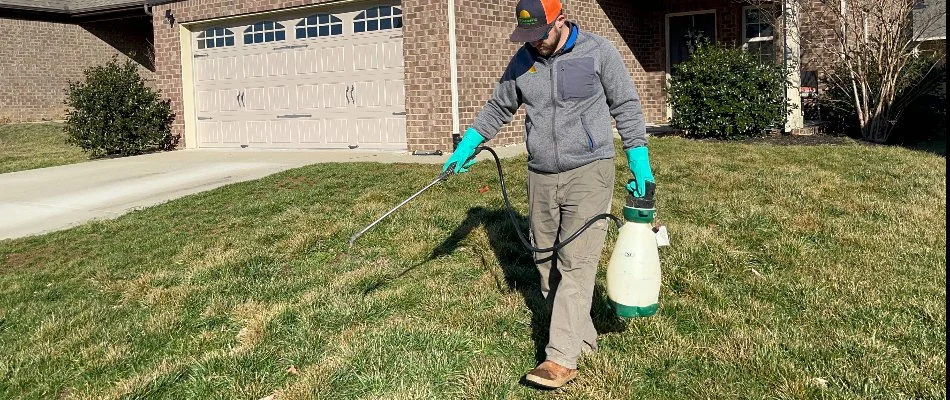 Professional in Gallatin, TN, applying a grub control treatment to a lawn.